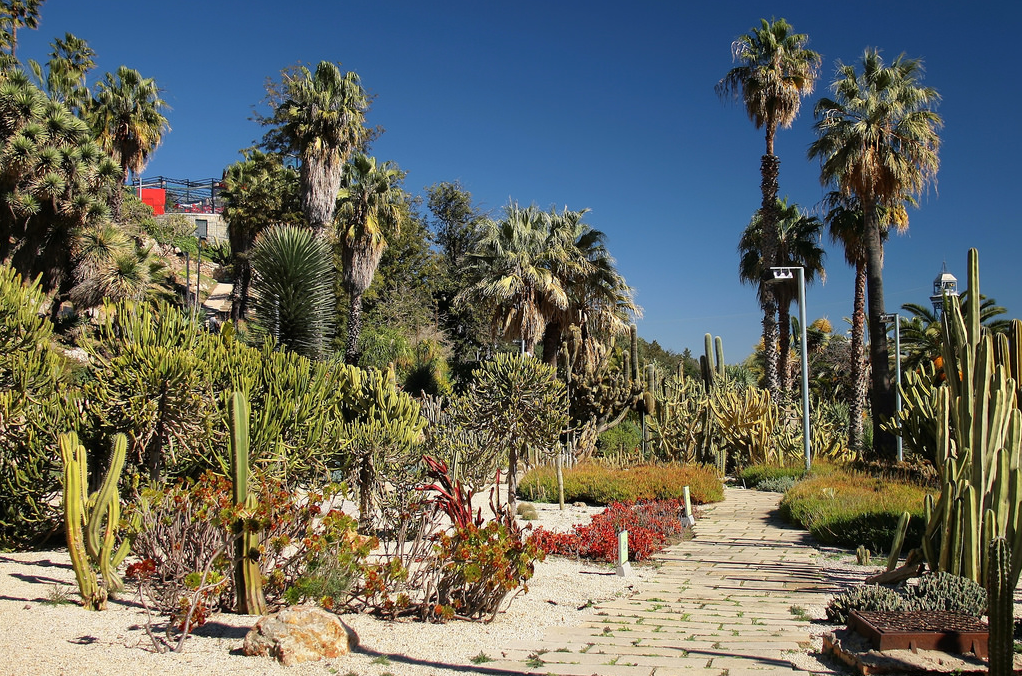 Jardins Mossèn Costa i Llobera | Things to do in Barcelona