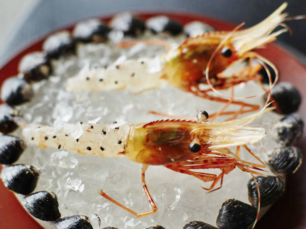 Ants on a Shrimp: Noma in Tokyo Ants on a Shrimp gourmet food