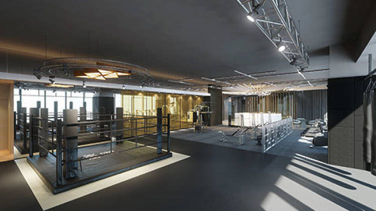 The interior of fight hard fitness gym