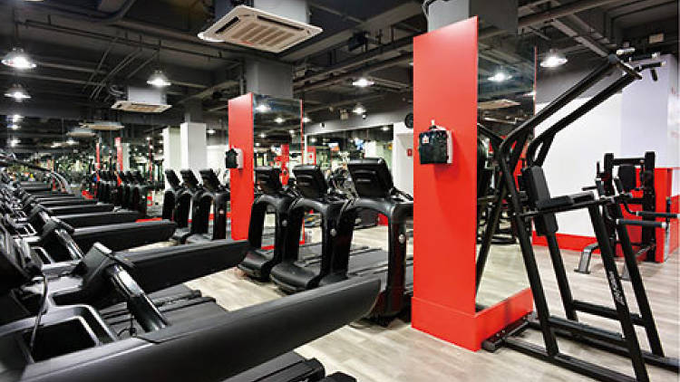 Interior shot of Utime gym, featuring rows of treadmills