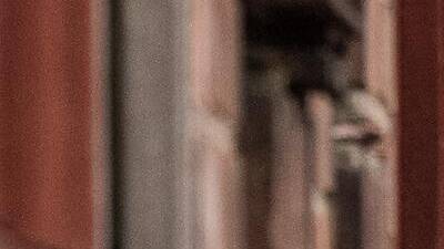 I, Daniel Blake I, Daniel Blake