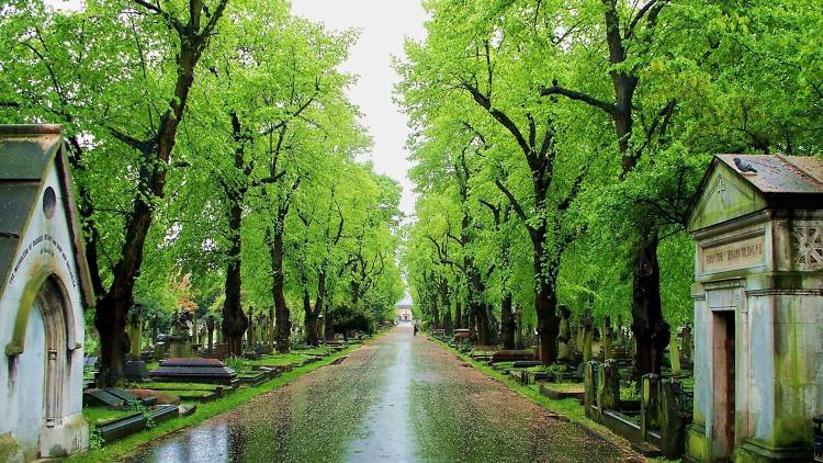 Brompton Cemetery