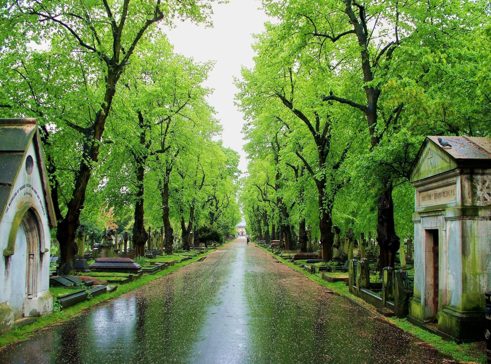 Ars Moriendi Things to do in London