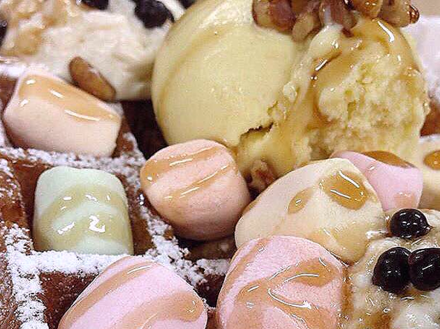 Holly Waffles Holly Waffles