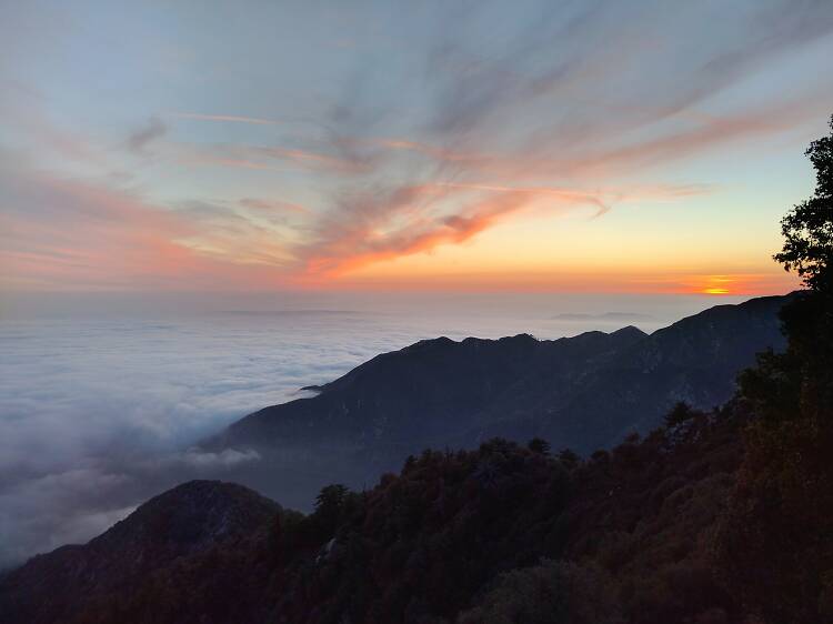 Have a picnic above the clouds atop Mt. Wilson