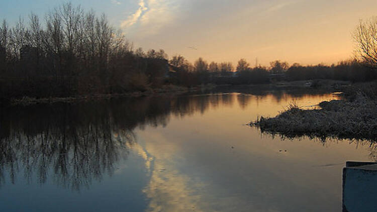 Parc de les Ribes del Ter