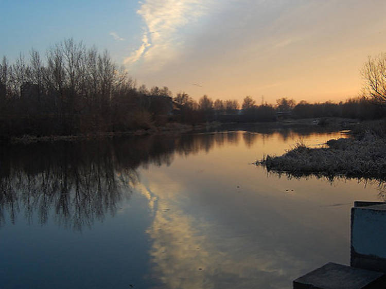 Parc de les Ribes del Ter