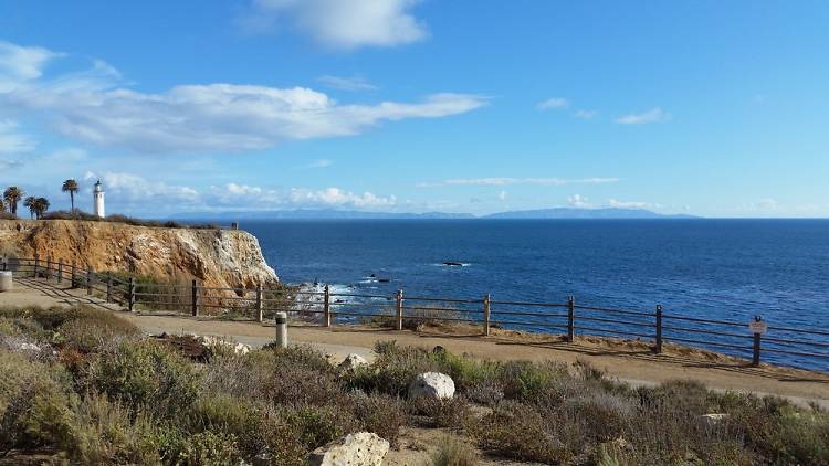 Point Vicente Interpretive Center