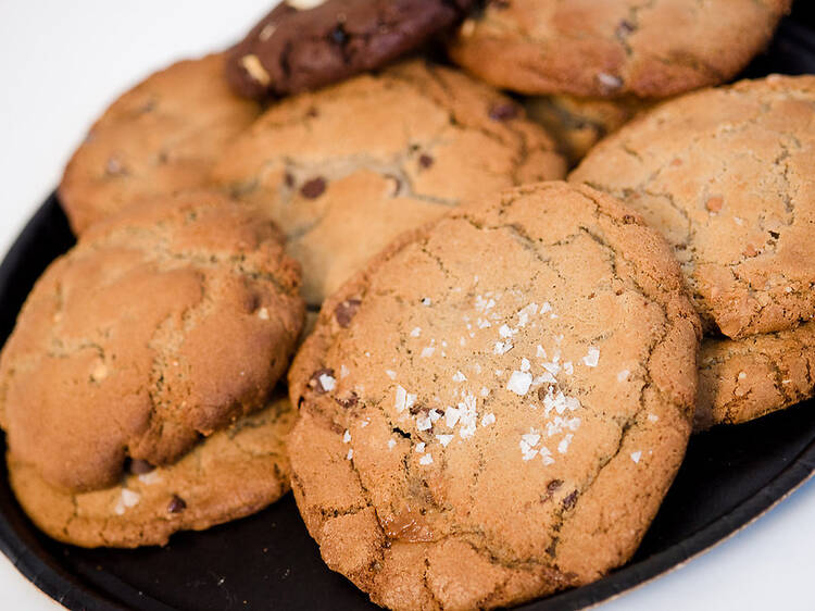 T-Rex Cookie | Minneapolis, MN