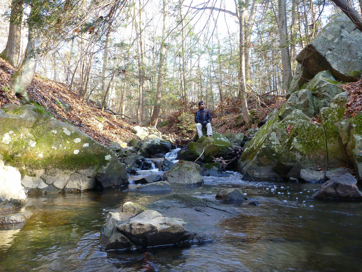22 Best Hikes Near NYC For Scenic Trails