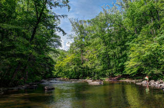 Best Hiking Near Nyc From Serene Trails To Challenging Treks