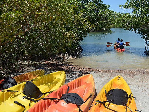 Oleta River State Park Things To Do In Eastern Shores Oleta Miami