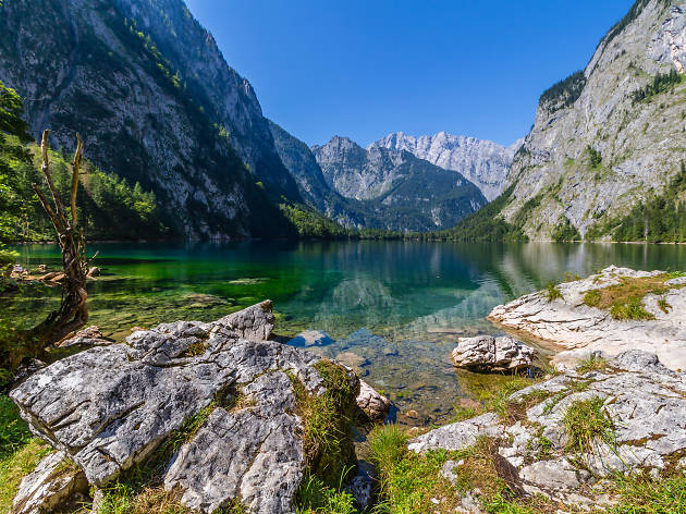 allemagne nature onat allemagne nature onat