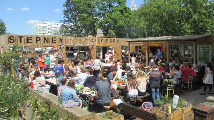 Stepney City Farm