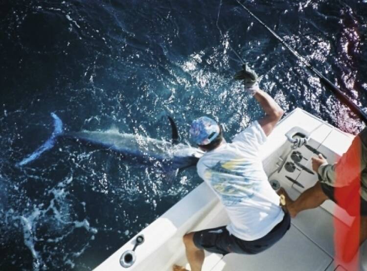 Fishing in Hong Kong