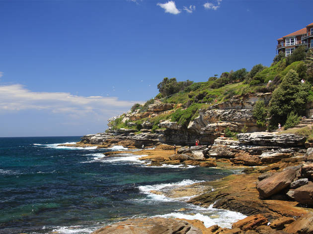 Bondi to Coogee coastal walk Bondi to Coogee coastal walk