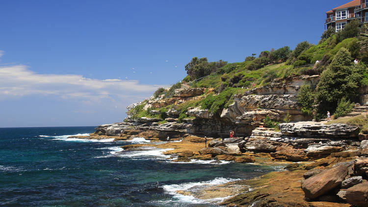 Bondi to Coogee coastal walk