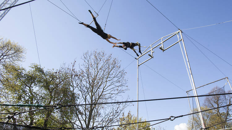 Fly through the air at a trapeze school