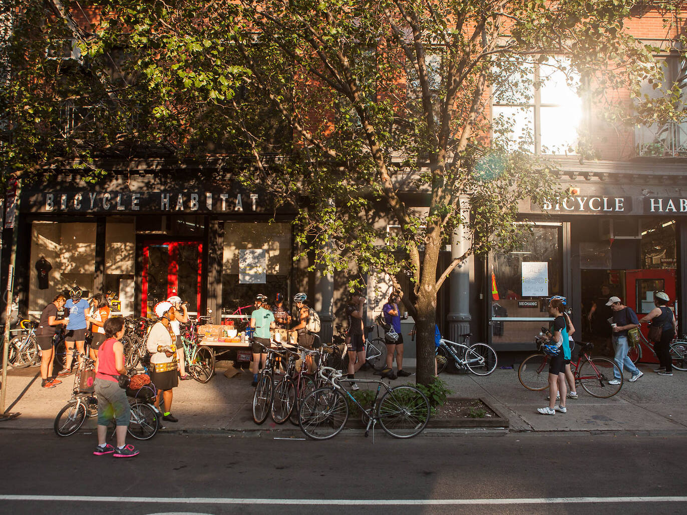 Best sporting goods stores in NYC for sports apparel and equipment