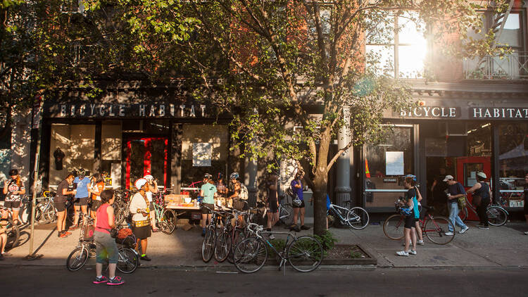 Bicycle Habitat