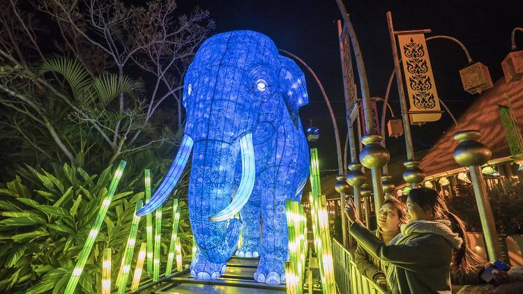 Be the Light for the Wild, Taronga Zoo