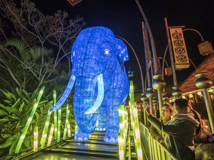 Be the Light for the Wild, Taronga Zoo