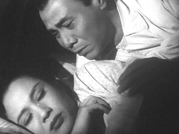 Cold Nights 寒夜 (1955)