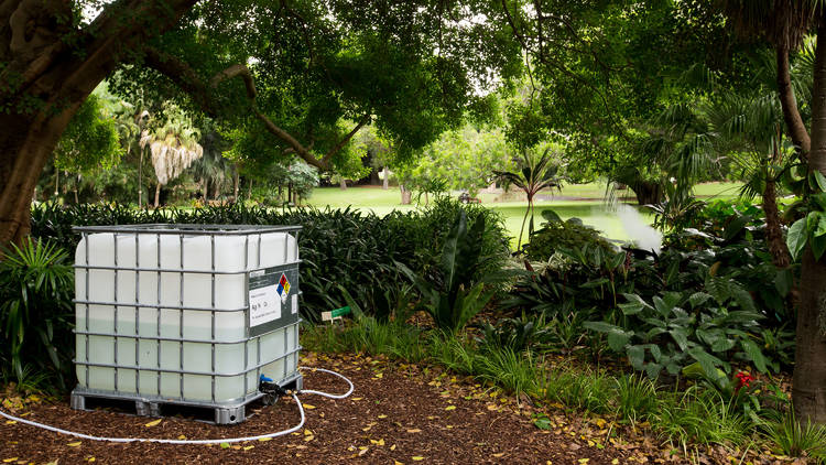 Royal Botanic Garden, Sydney