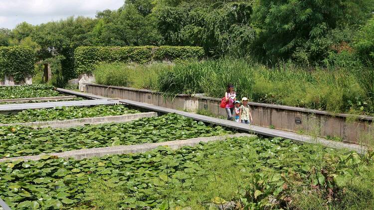 Seonyudo Park