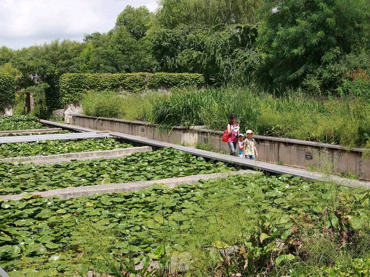 Seonyudo Park