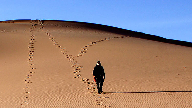 Gobi Desert