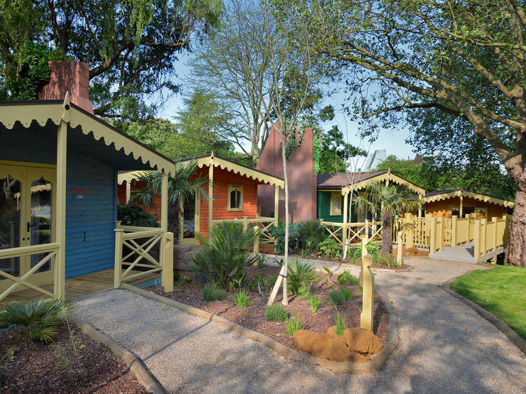 Gir Lion Lodge at London Zoo