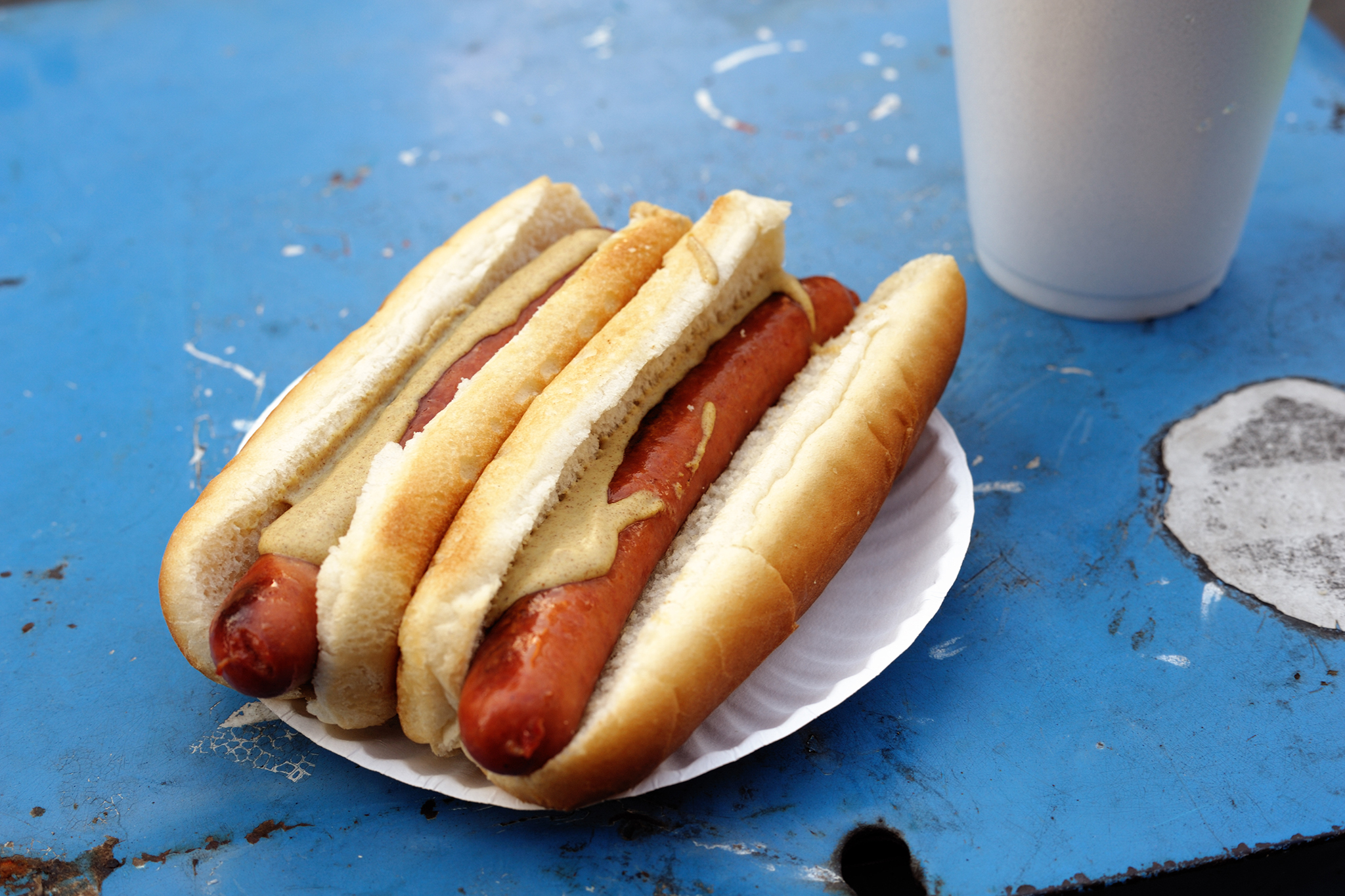 Gray's Papaya