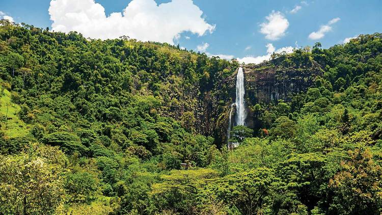 Bambarakanda Falls