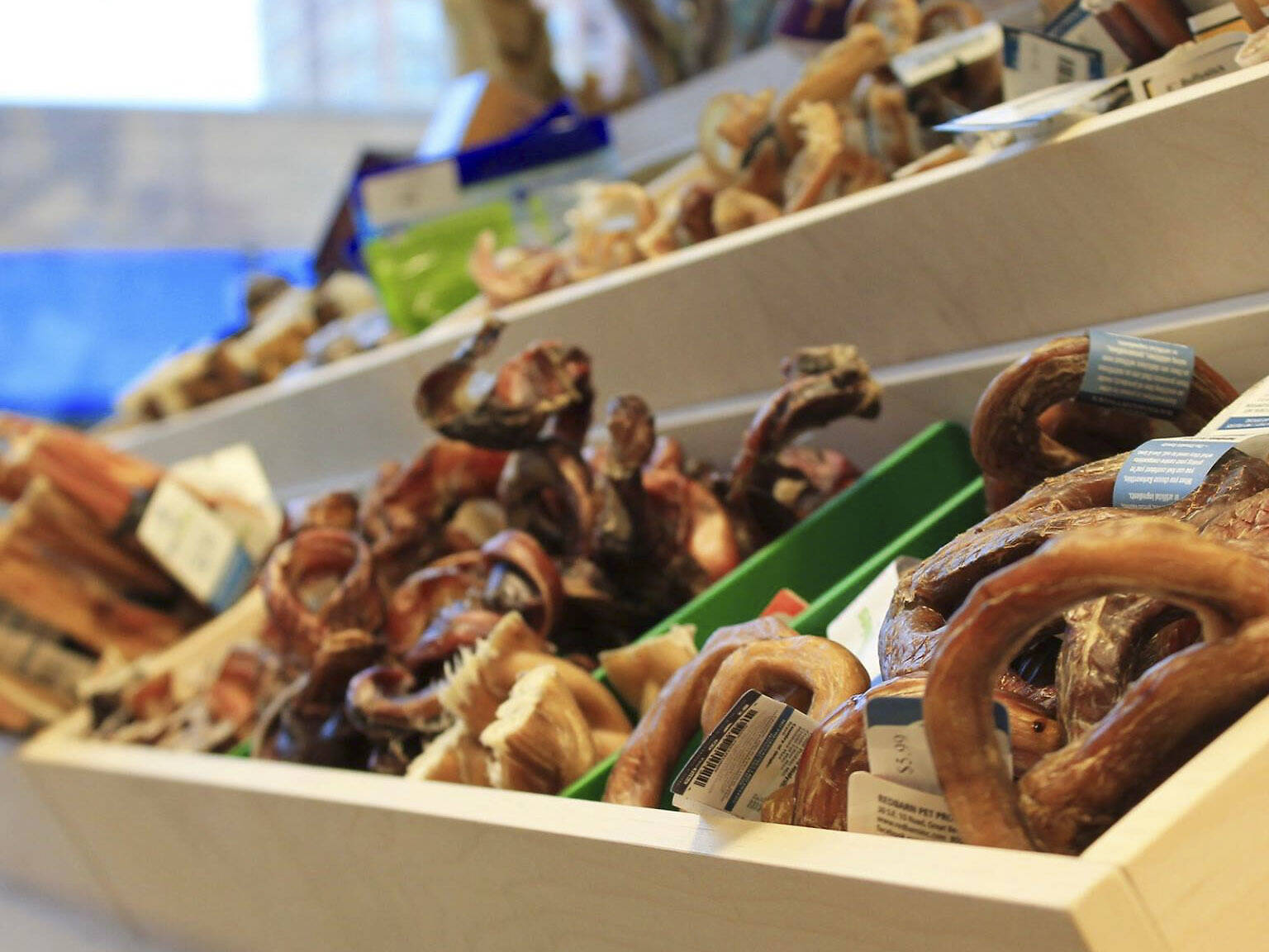 Pet stores in Chicago for dog leashes, cat collars and more