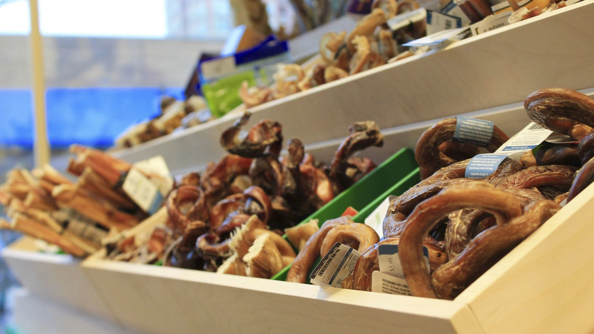 Pet stores in Chicago for dog leashes, cat collars and more