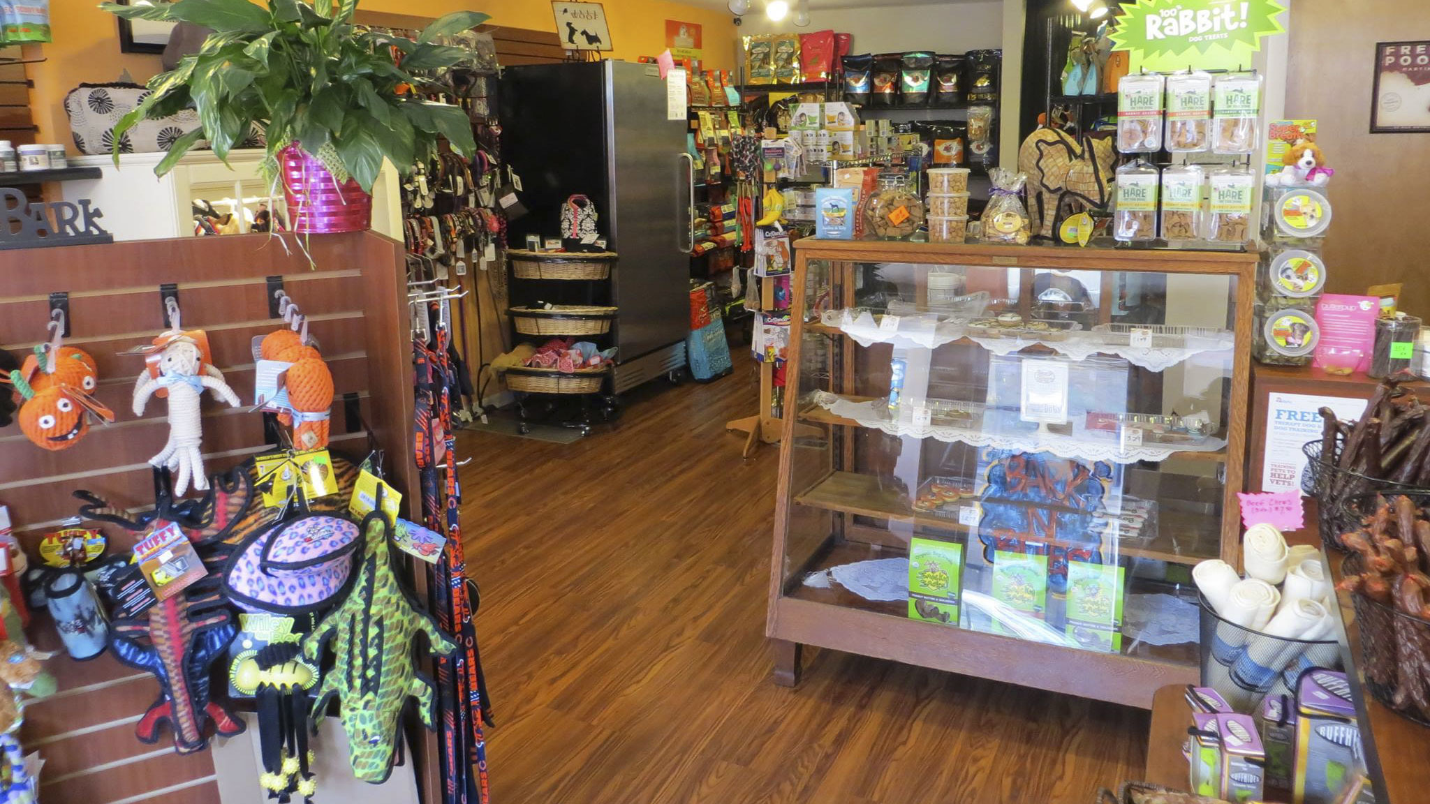 Pet Stores In Chicago For Dog Leashes Cat Collars And More