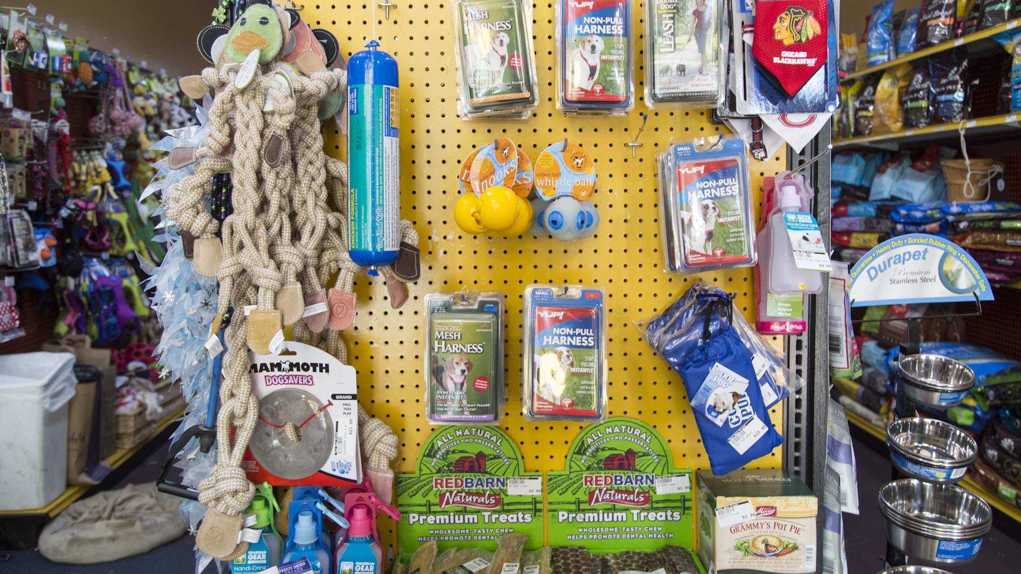 Your Best Friend Pet Supply Shopping in Wicker Park Chicago