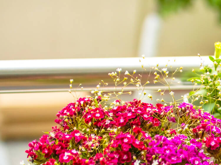 Cinco consejos para aprovechar al máximo tu terraza