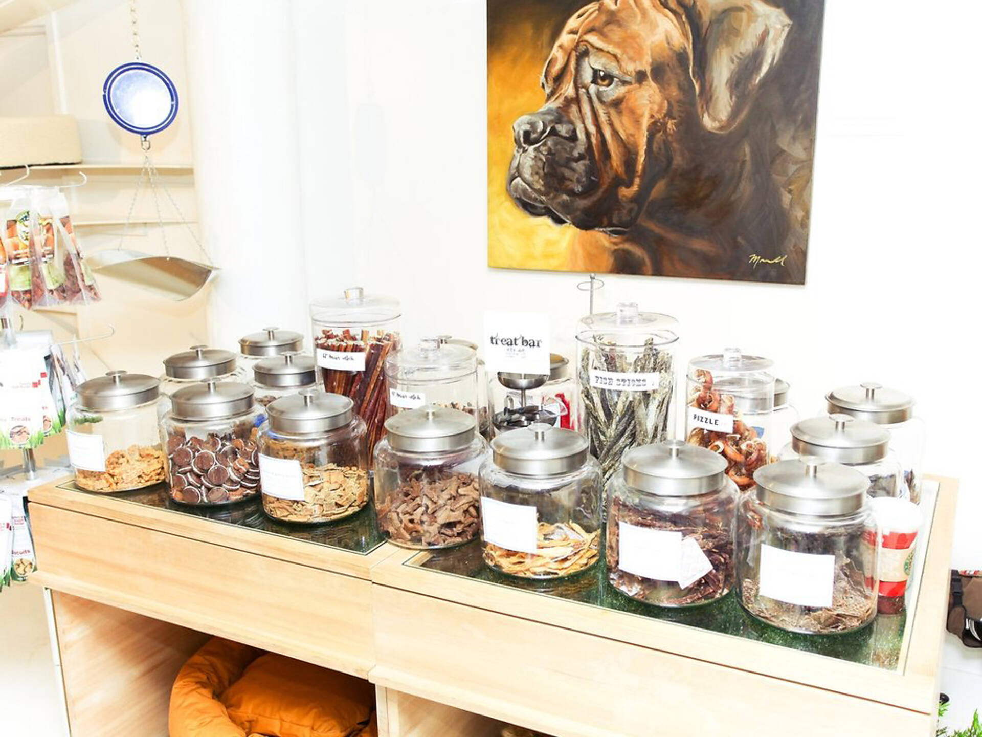 Find a great pet store in New York City