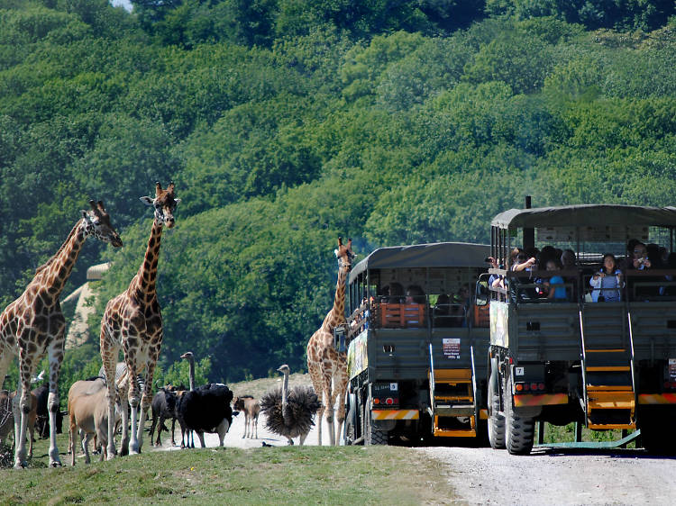 Port Lympne, Kent