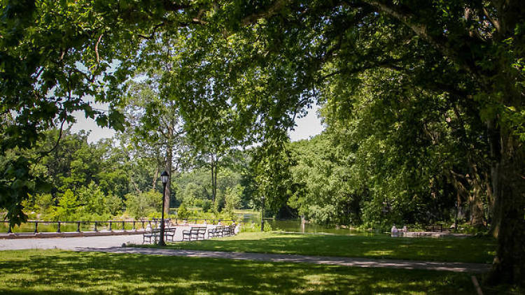 Hike through Prospect Park