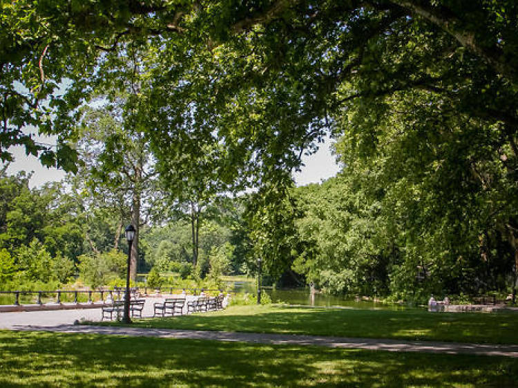 Hike through Prospect Park