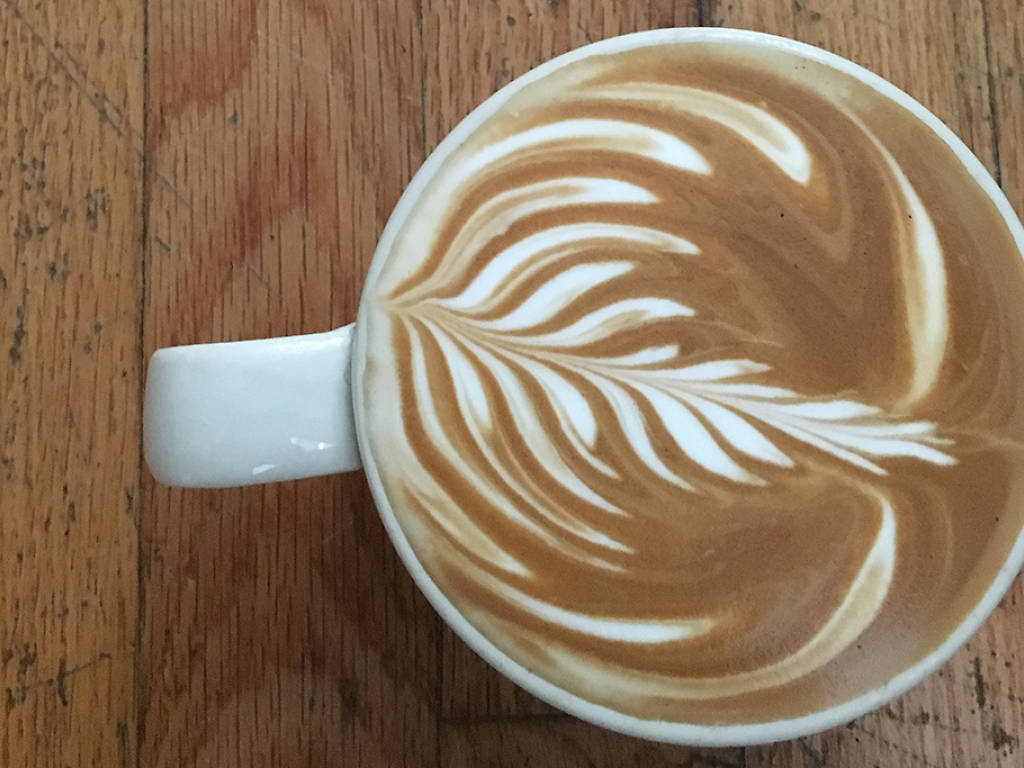 26 Best Miami Coffee Shops to Work, Gather and Get That Cafecito Fix