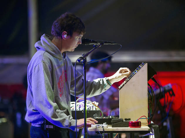 Animal Collective Panda Bear