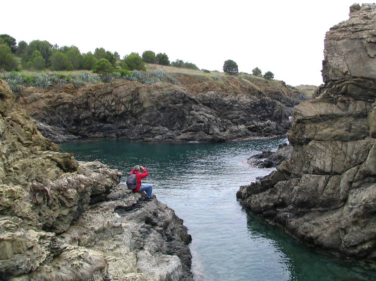 Go swimming in Cala Bramant