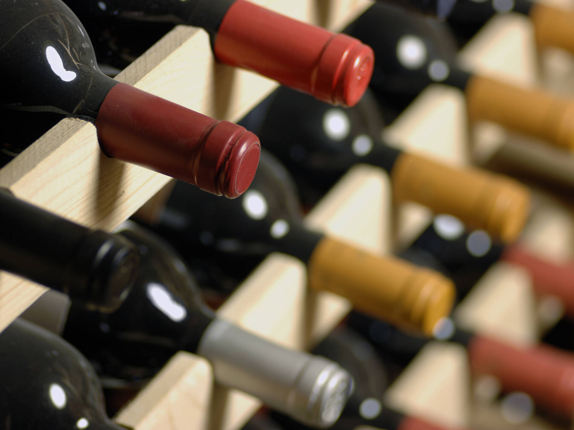 Best wine stores in NYC for wine tasting and well stocked bottles