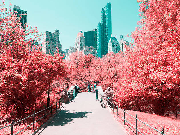 Check out these trippy photos of Central Park Check out these trippy photos of Central Park