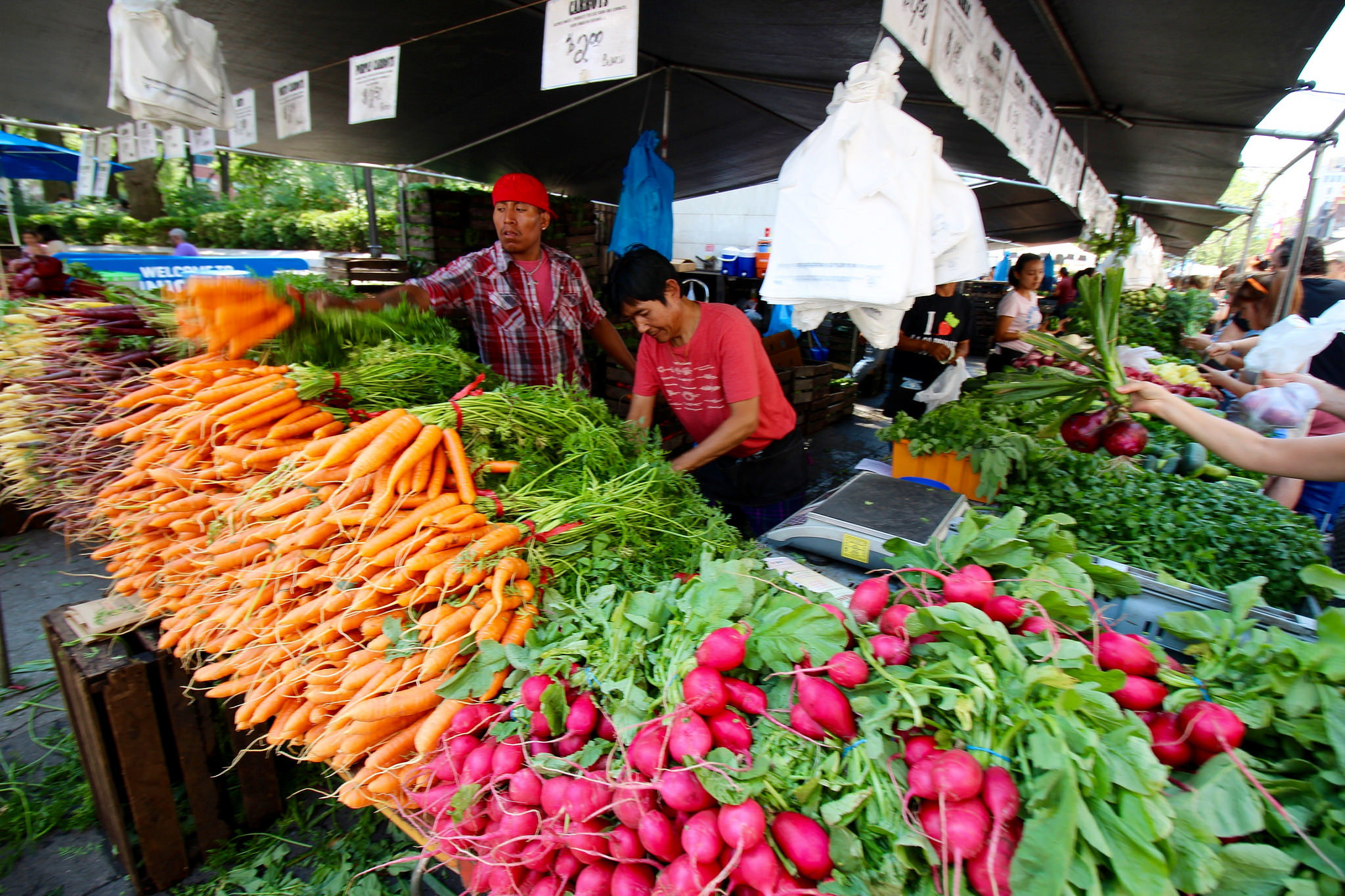 Explore NYC's Best Farmers Markets, NYC Greenmarkets