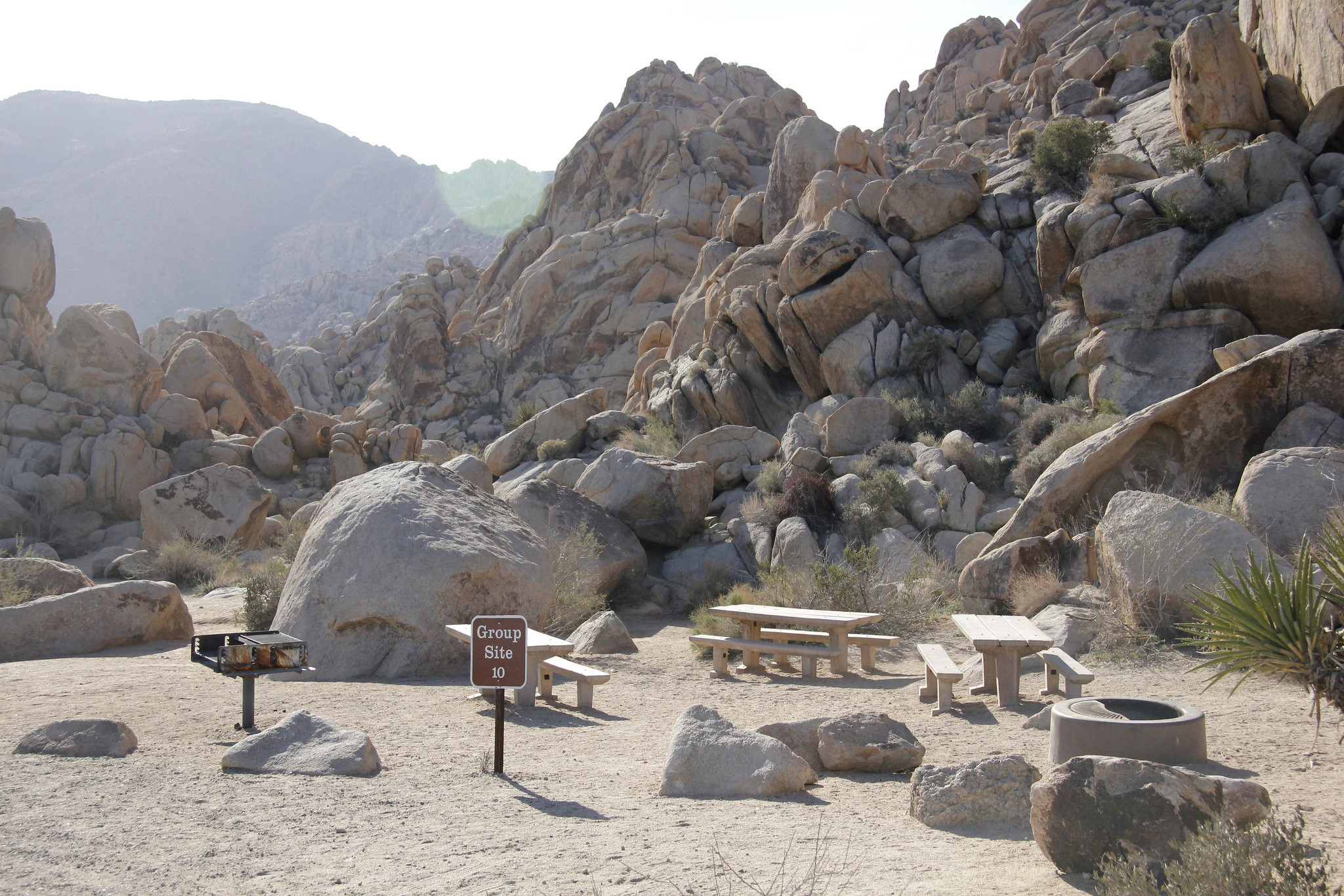 14+ Wild Camping Joshua Tree